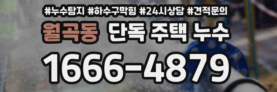 월곡동 단독 주택 누수