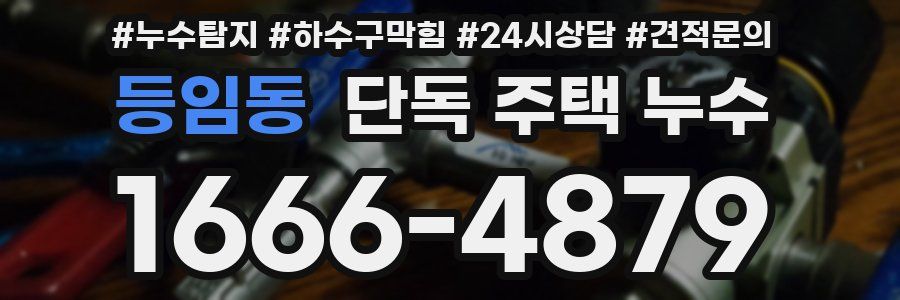 등임동 단독 주택 누수