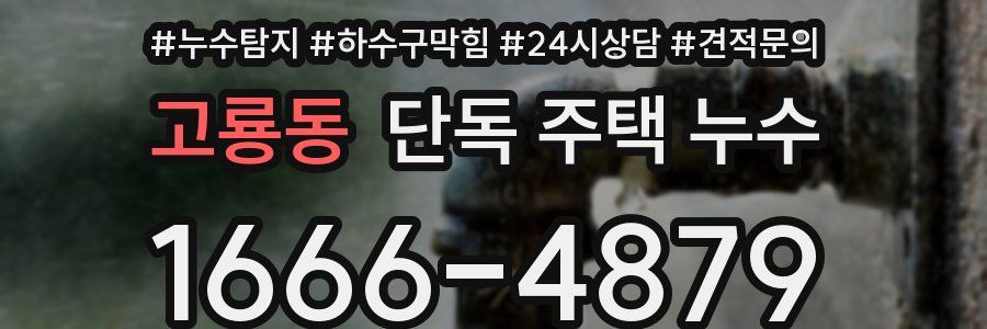 고룡동 단독 주택 누수