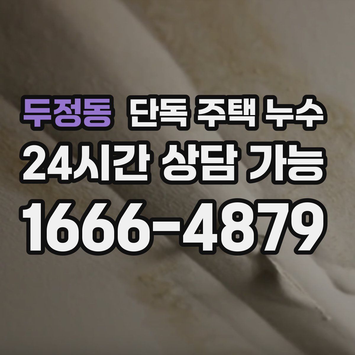 두정동 단독 주택 누수