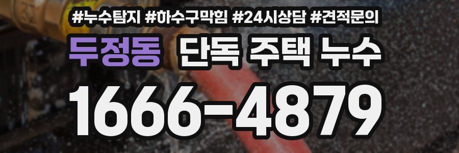 두정동 단독 주택 누수