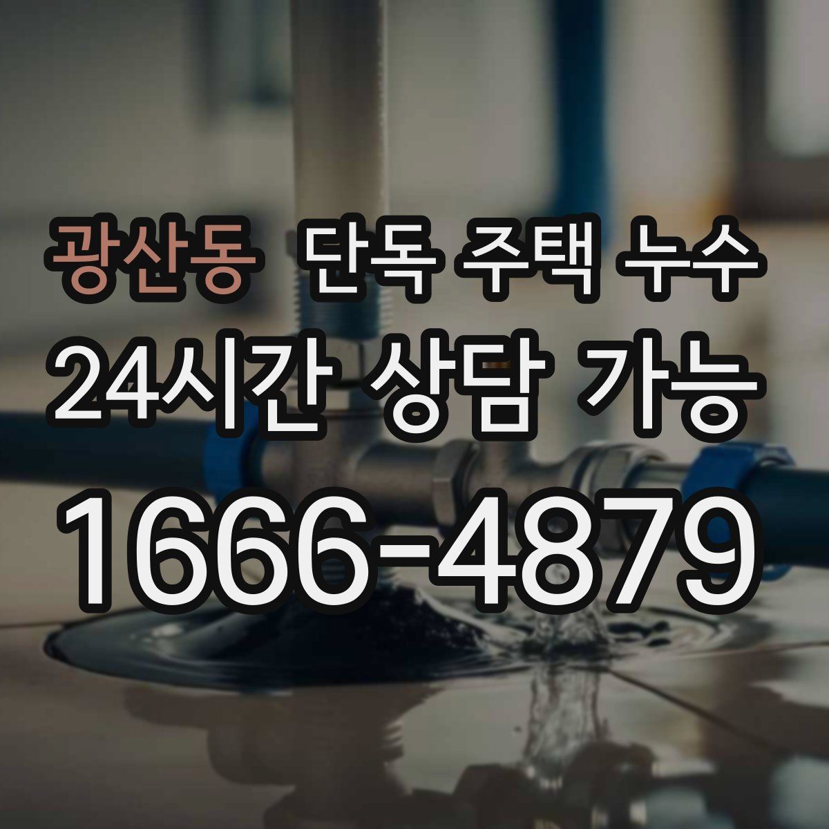 광산동 단독 주택 누수