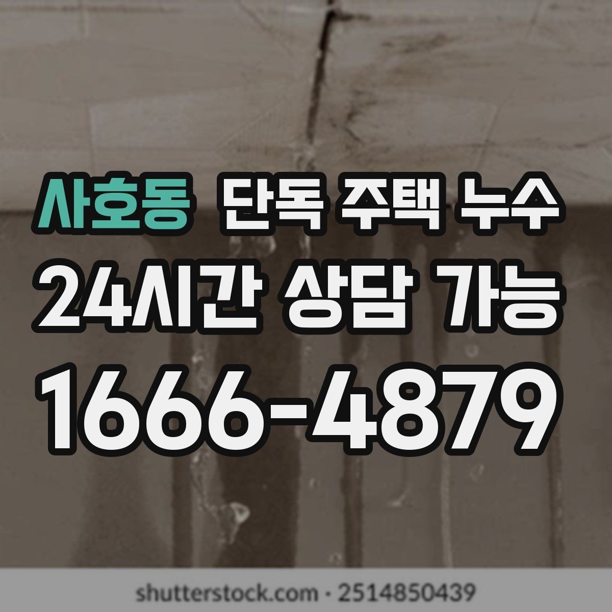 사호동 단독 주택 누수 벽 안쪽에서 물 흐르는 소리가 날 때