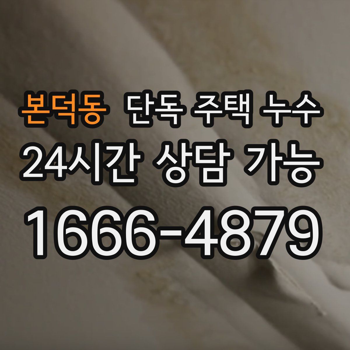 본덕동 단독 주택 누수