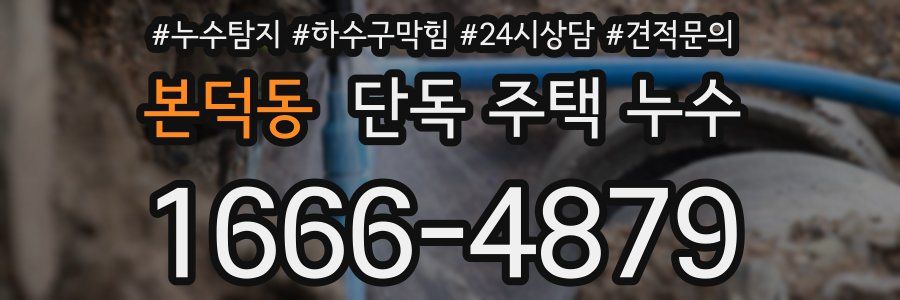 본덕동 단독 주택 누수