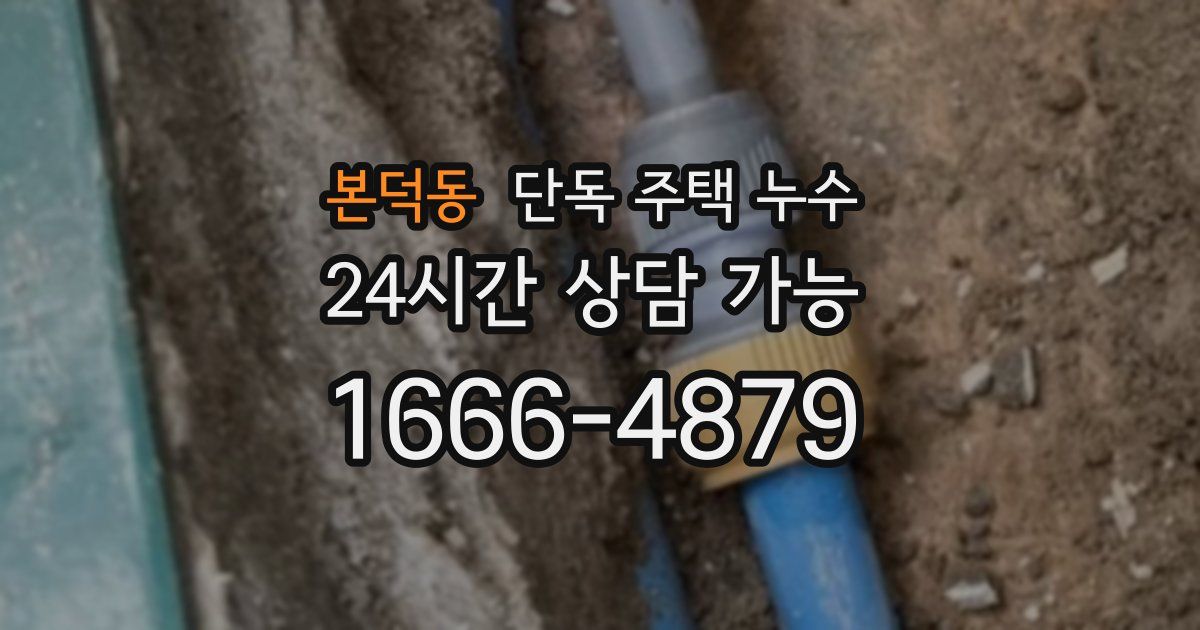 본덕동 단독 주택 누수