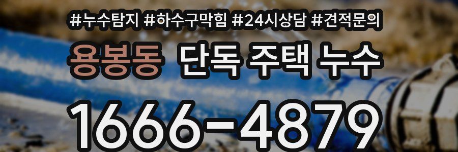 용봉동 단독 주택 누수