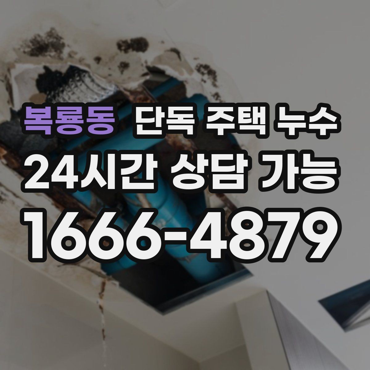 복룡동 단독 주택 누수 홈통 청소만으로 예방 가능한 범위