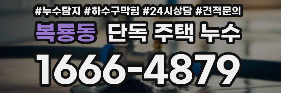 복룡동 단독 주택 누수