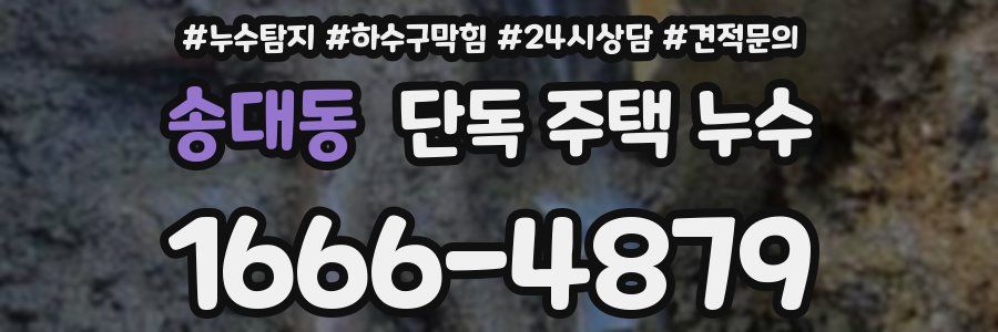 송대동 단독 주택 누수