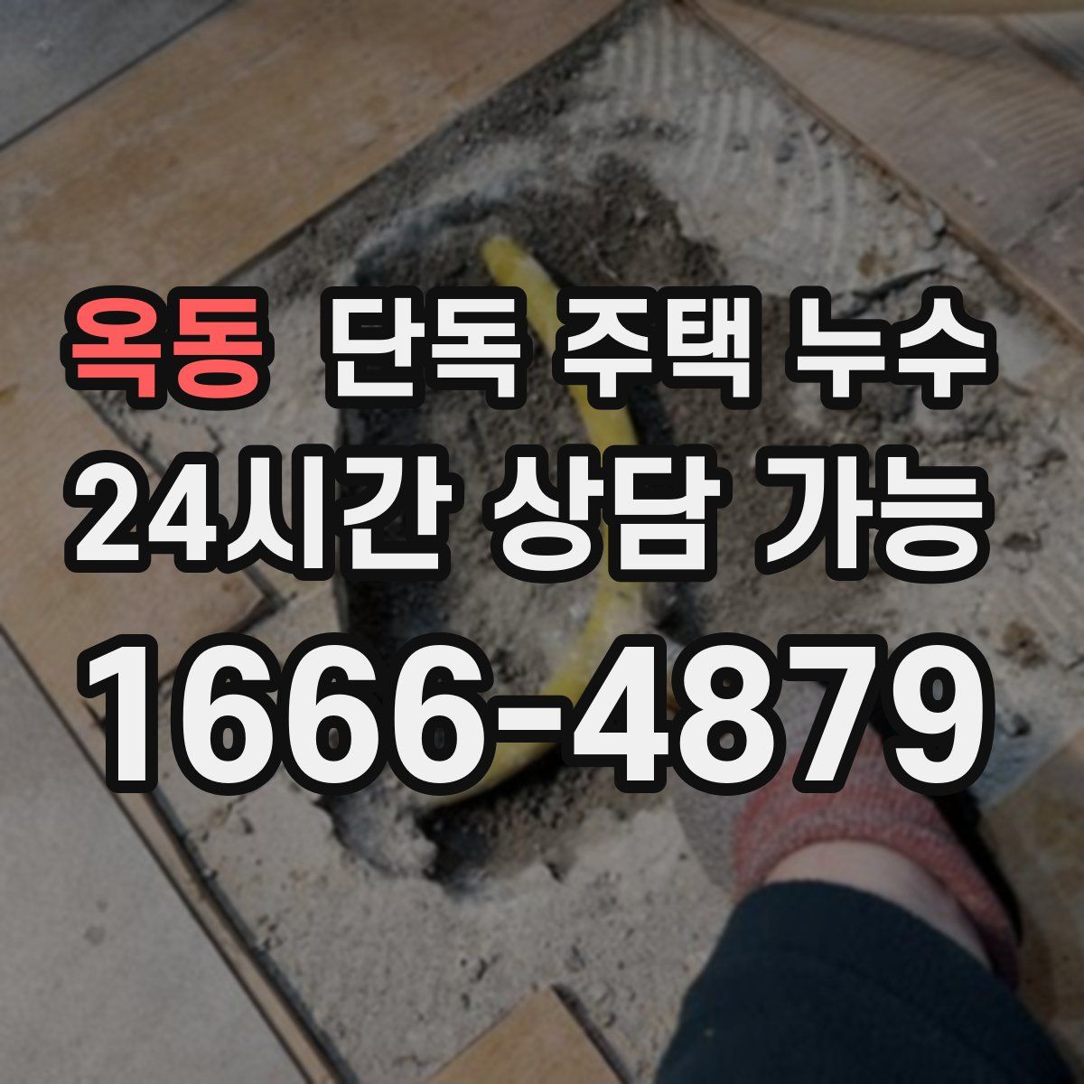 옥동 단독 주택 누수