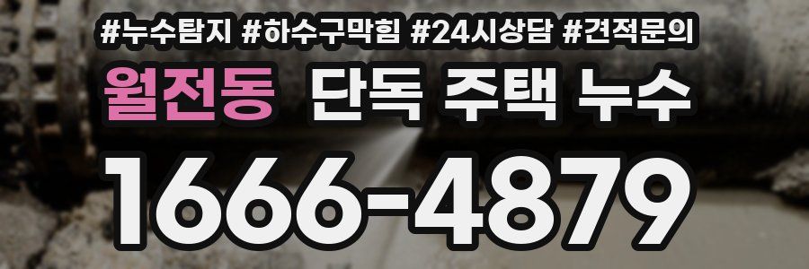 월전동 단독 주택 누수