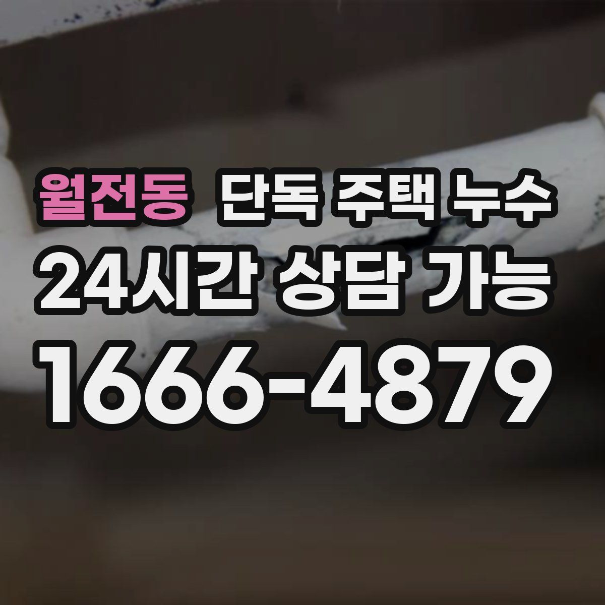 월전동 단독 주택 누수