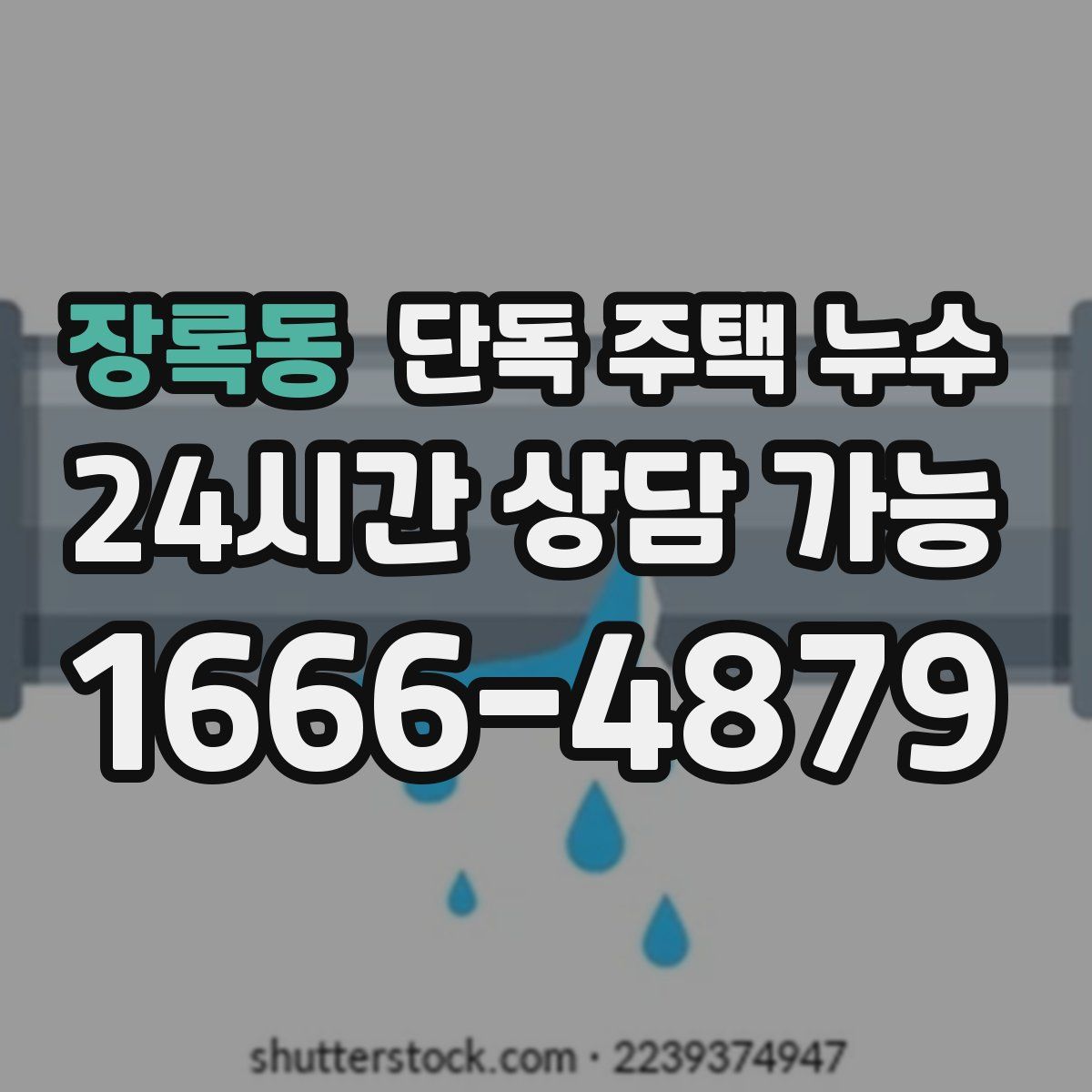 장록동 단독 주택 누수