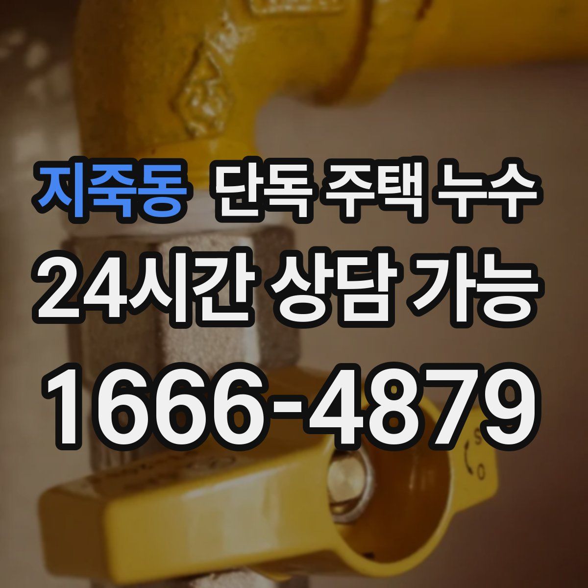 지죽동 단독 주택 누수