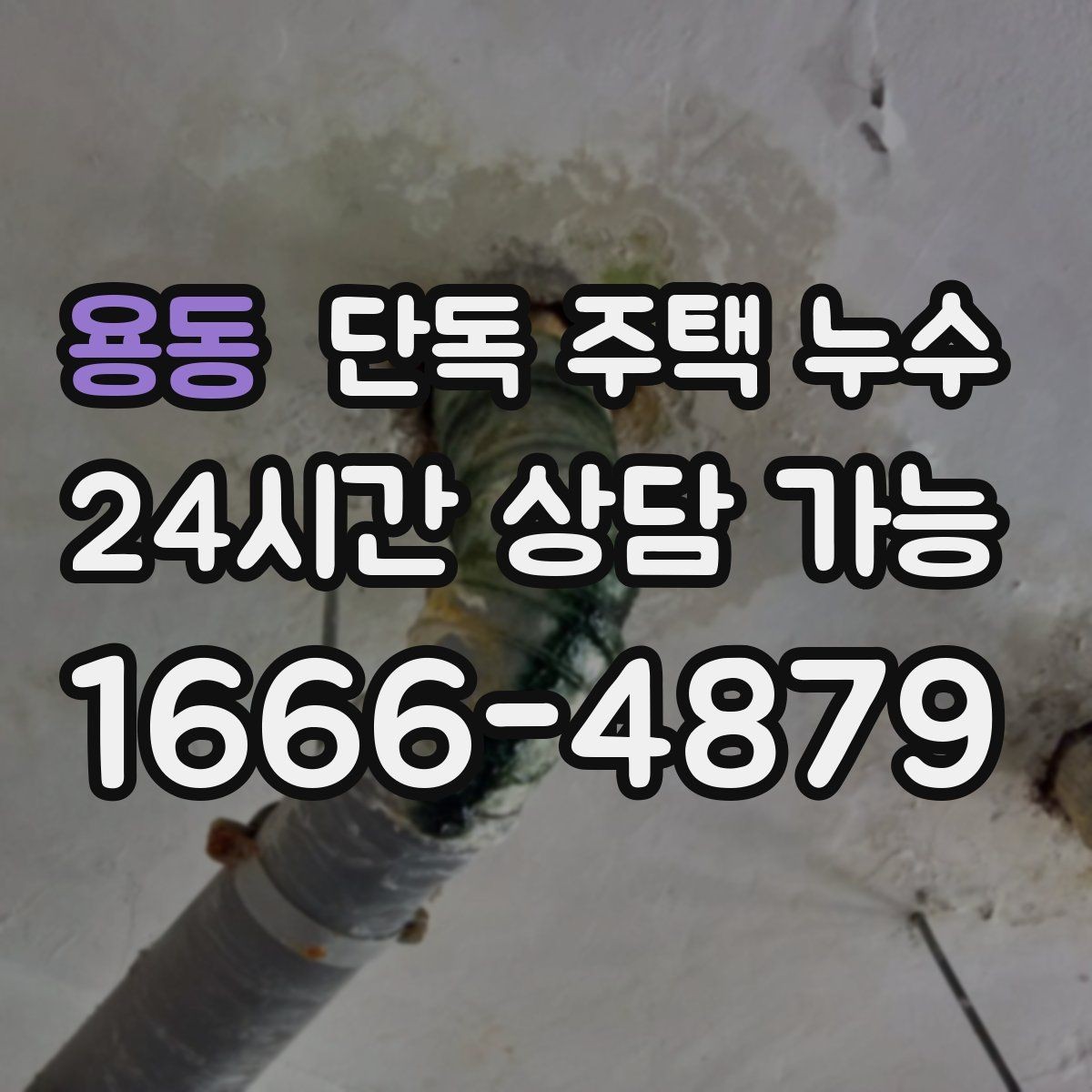 용동 단독 주택 누수 거실 천장 중앙에 얼룩이 생길 때