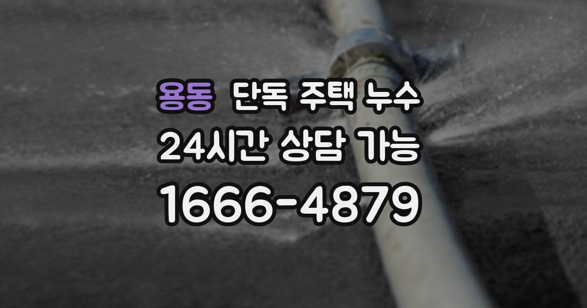 용동 단독 주택 누수