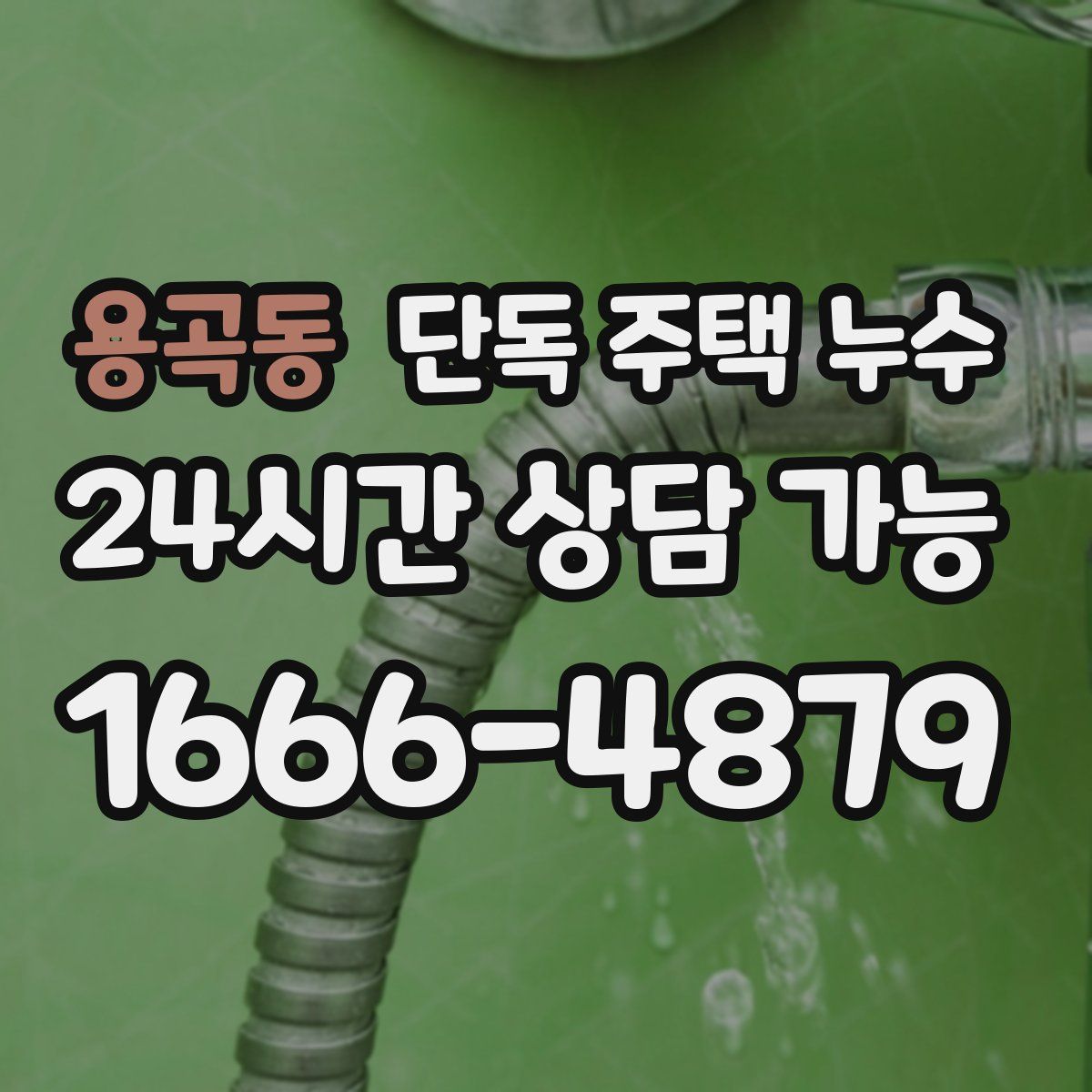 용곡동 단독 주택 누수