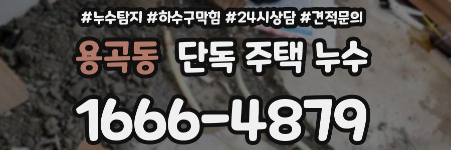 용곡동 단독 주택 누수