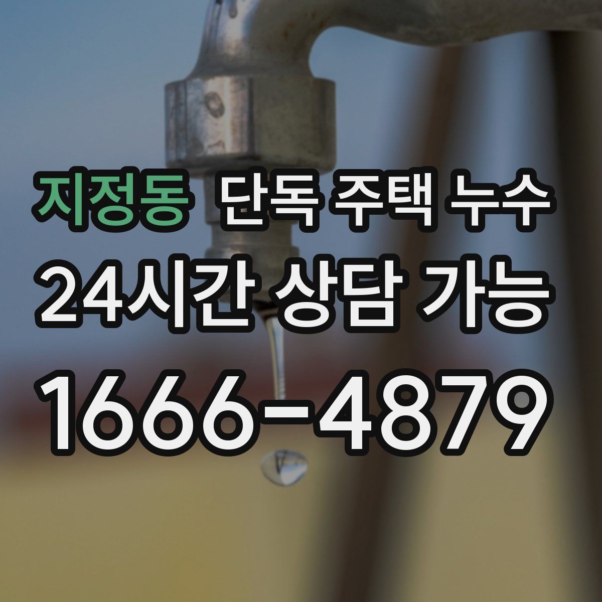 지정동 단독 주택 누수