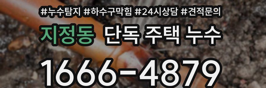 지정동 단독 주택 누수