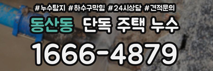 동산동 단독 주택 누수