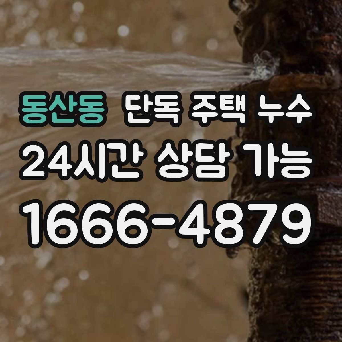 동산동 단독 주택 누수