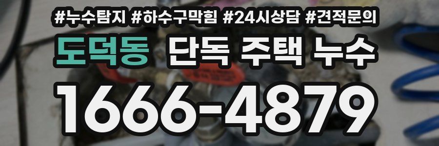 도덕동 단독 주택 누수