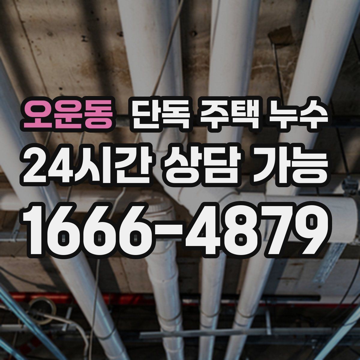 오운동 단독 주택 누수 외벽 오염 자국이 물길일 수 있는 이유