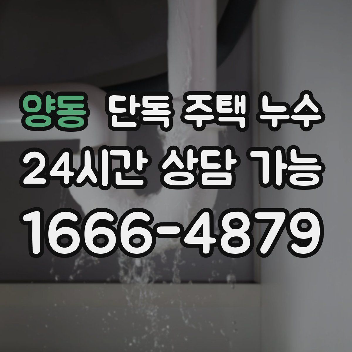 양동 단독 주택 누수