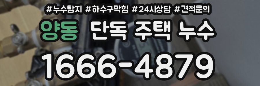 양동 단독 주택 누수