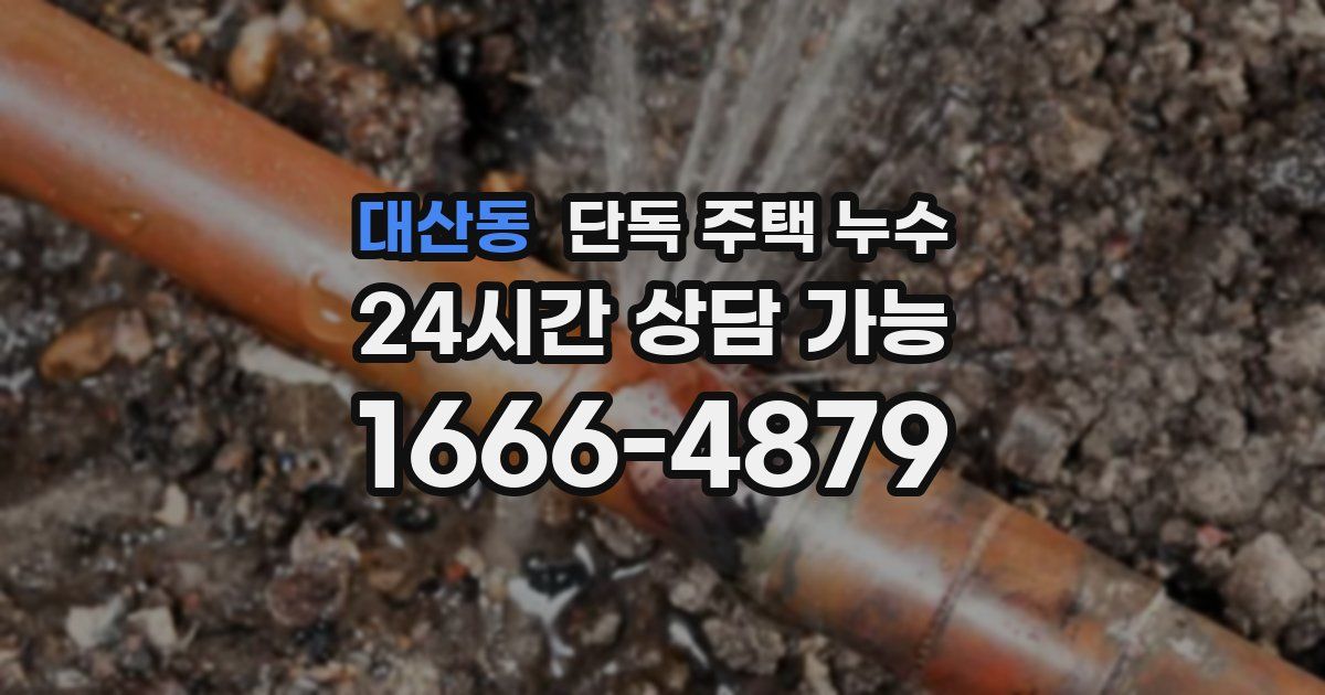 대산동 단독 주택 누수