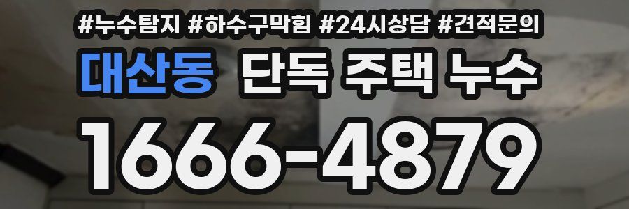 대산동 단독 주택 누수