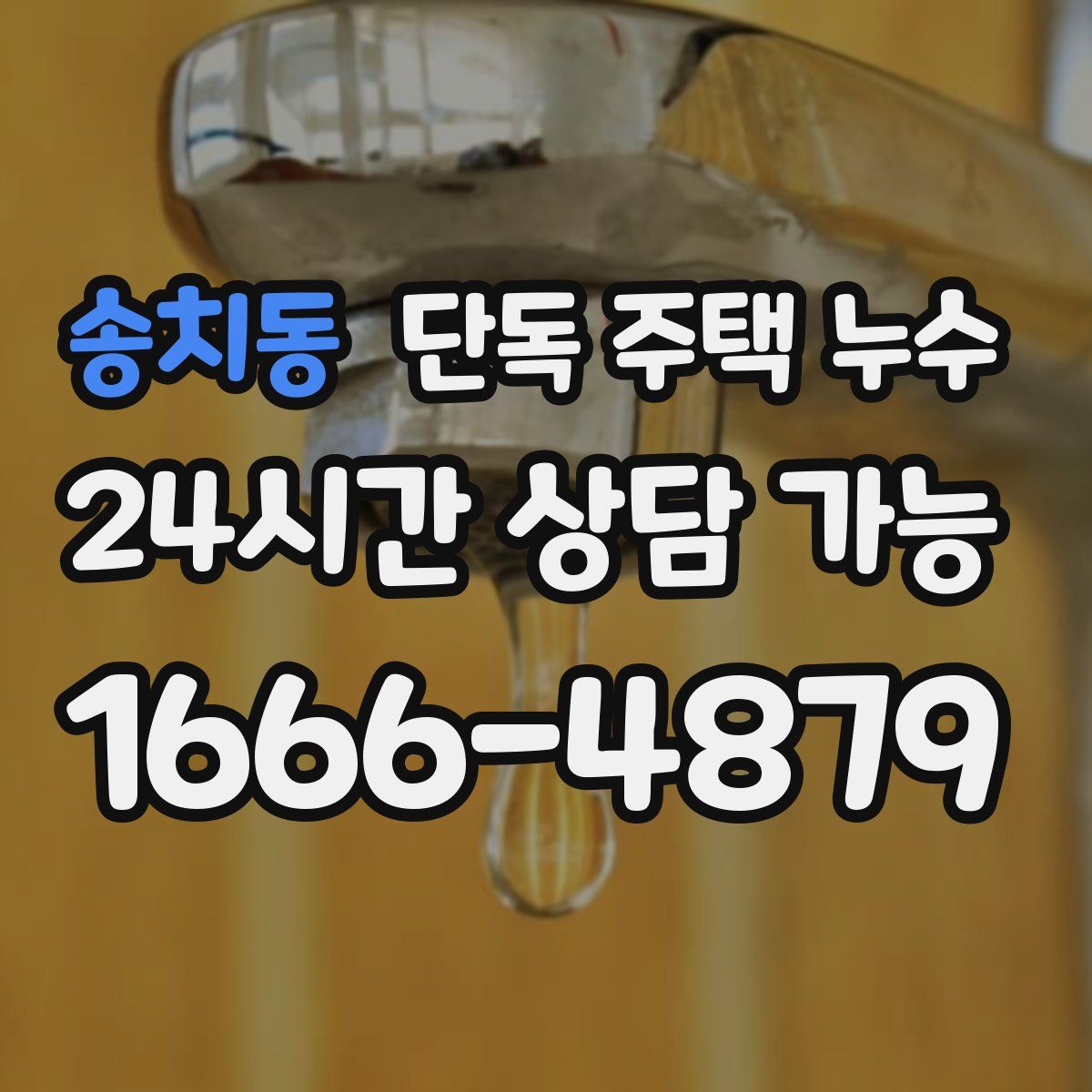 송치동 단독 주택 누수