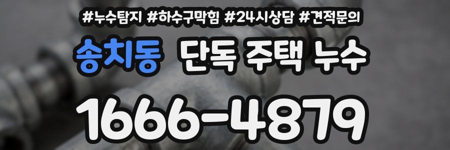 송치동 단독 주택 누수