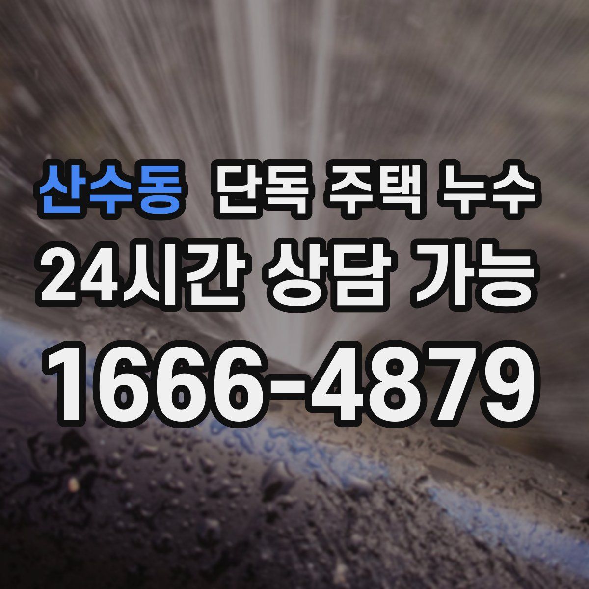 산수동 단독 주택 누수