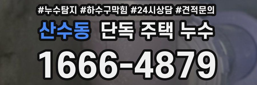 산수동 단독 주택 누수