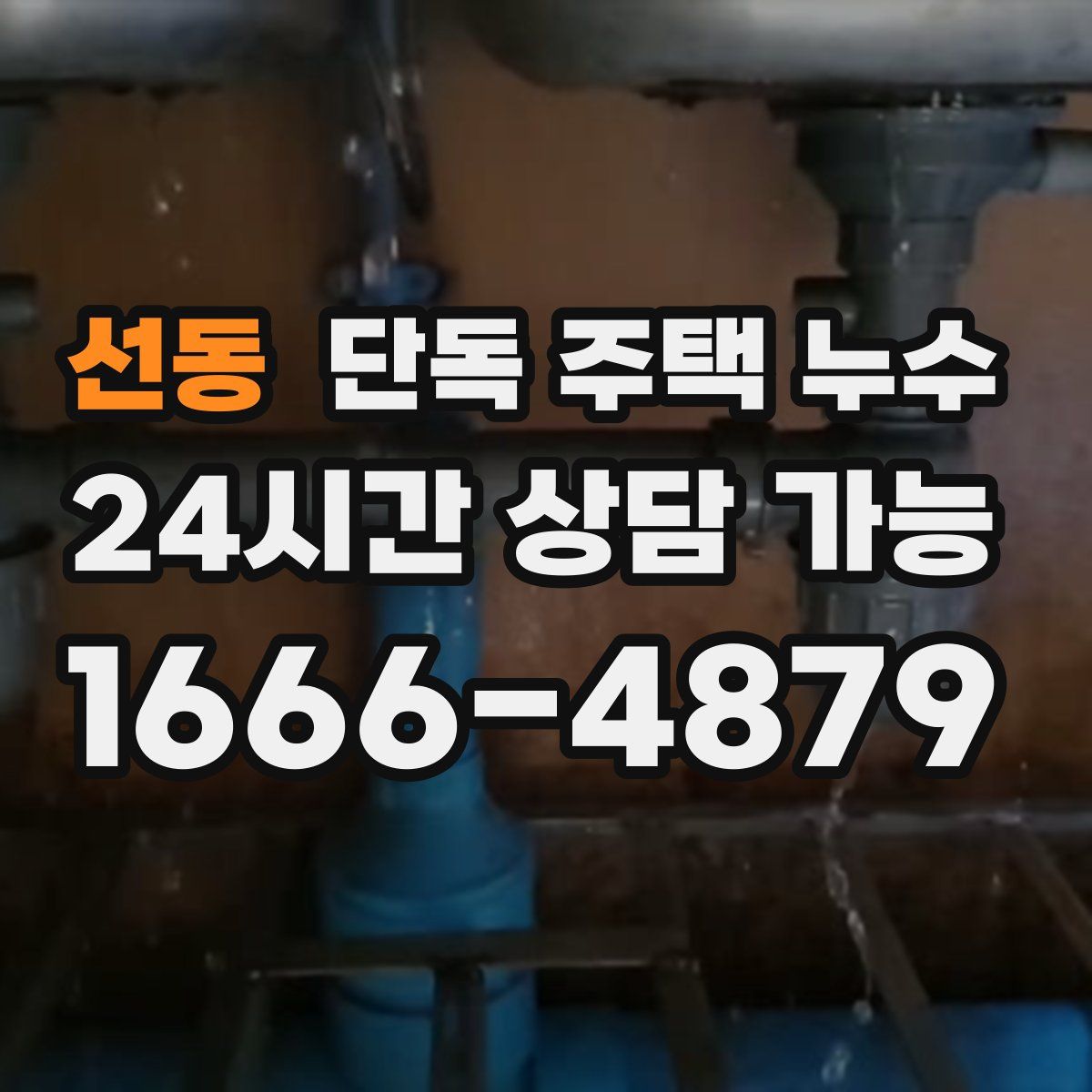 선동 단독 주택 누수