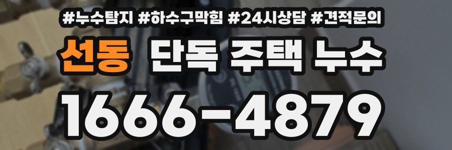 선동 단독 주택 누수