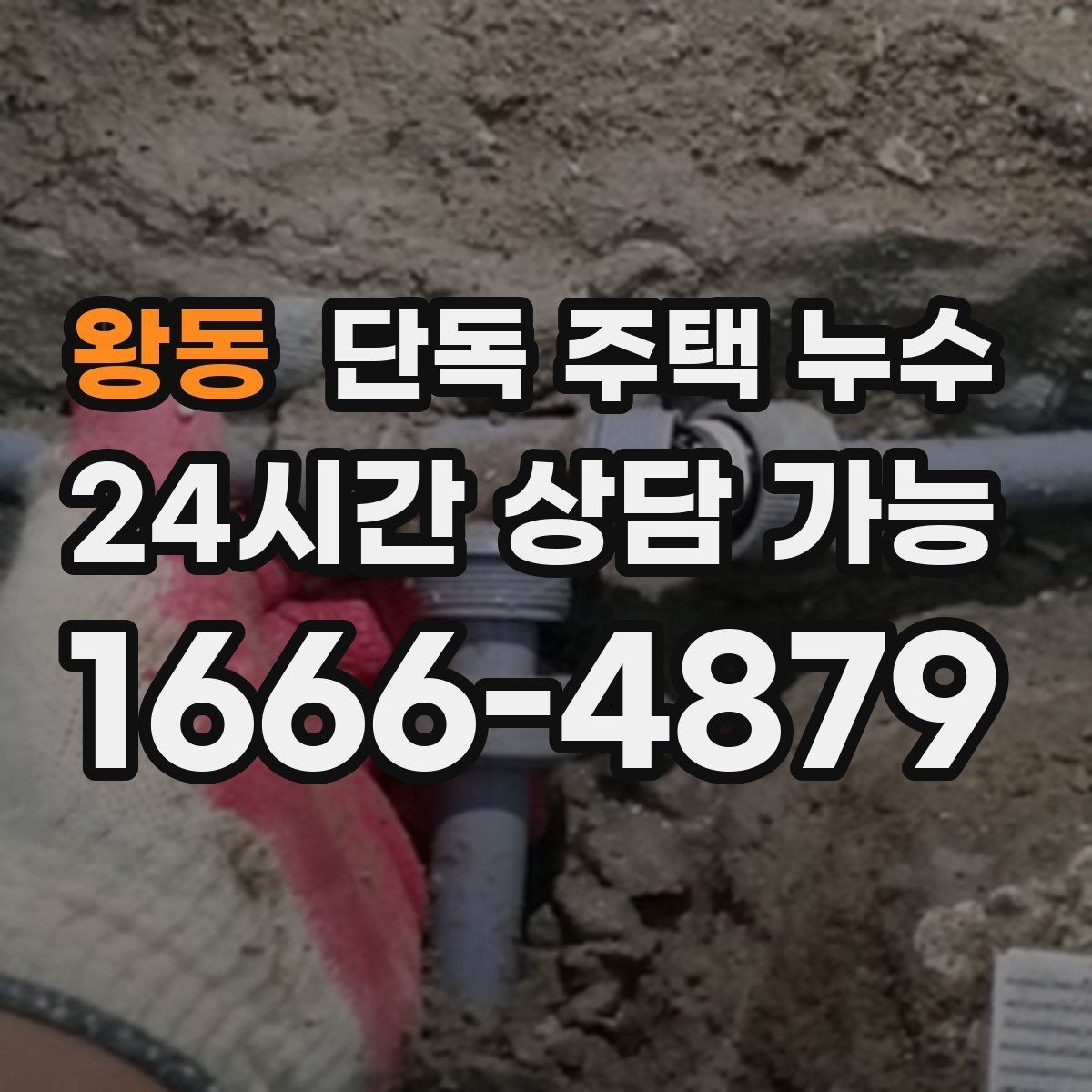 왕동 단독 주택 누수 수리 전 도배 장판을 하면 안 되는 이유