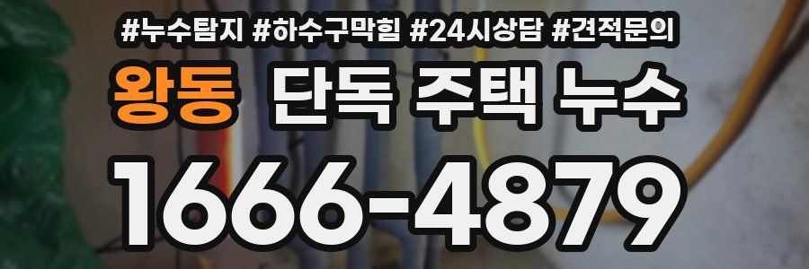 왕동 단독 주택 누수