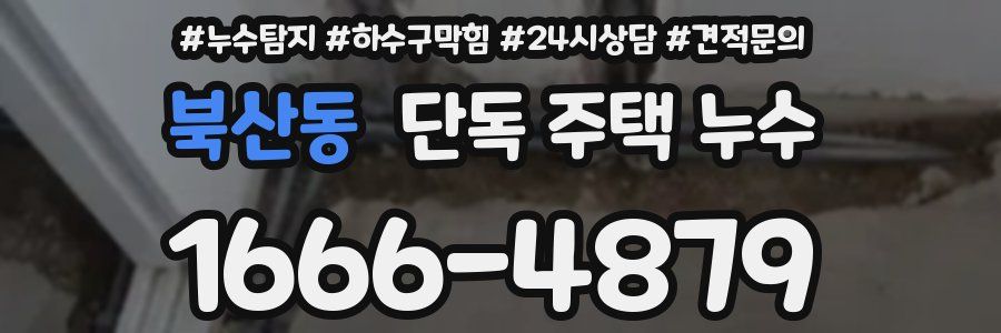 북산동 단독 주택 누수