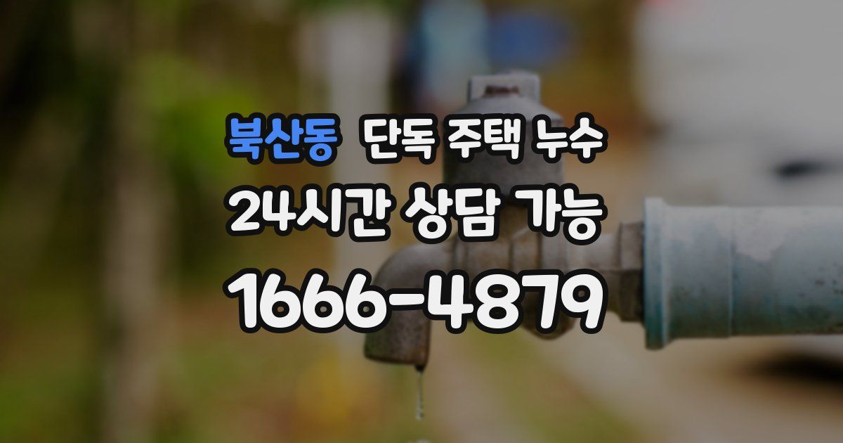 북산동 단독 주택 누수