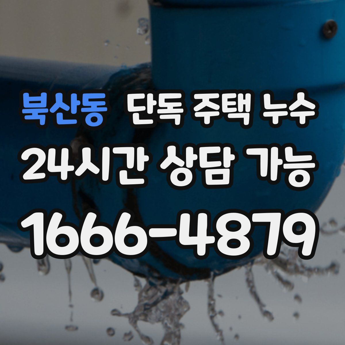 북산동 단독 주택 누수