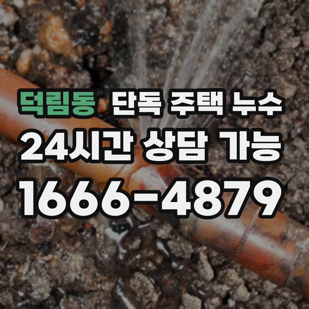 덕림동 단독 주택 누수 세탁기 급수호스 연결부 누수 점검