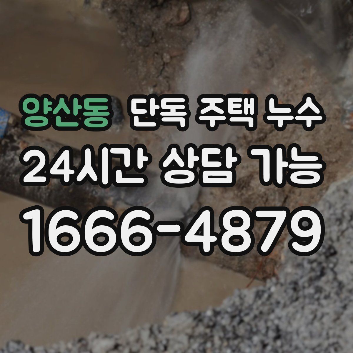 양산동 단독 주택 누수 마당 경사와 배수 불량이 원인일 때