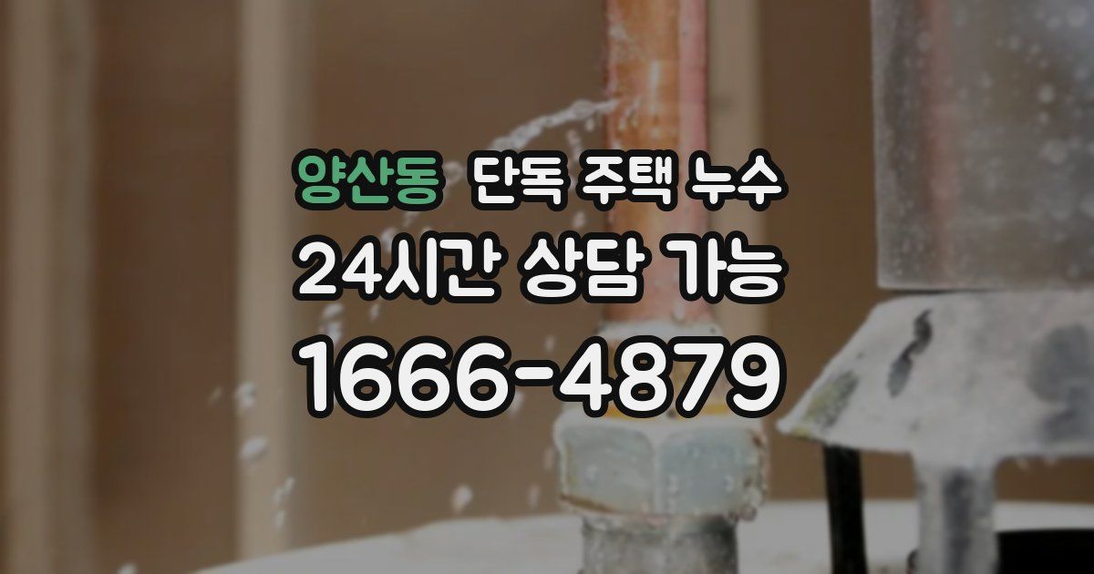 양산동 단독 주택 누수