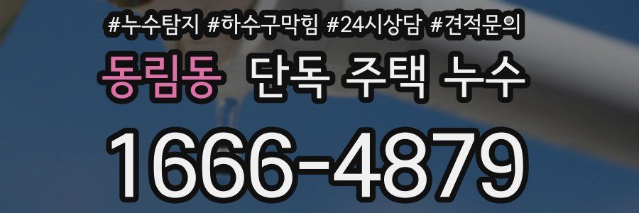 동림동 단독 주택 누수