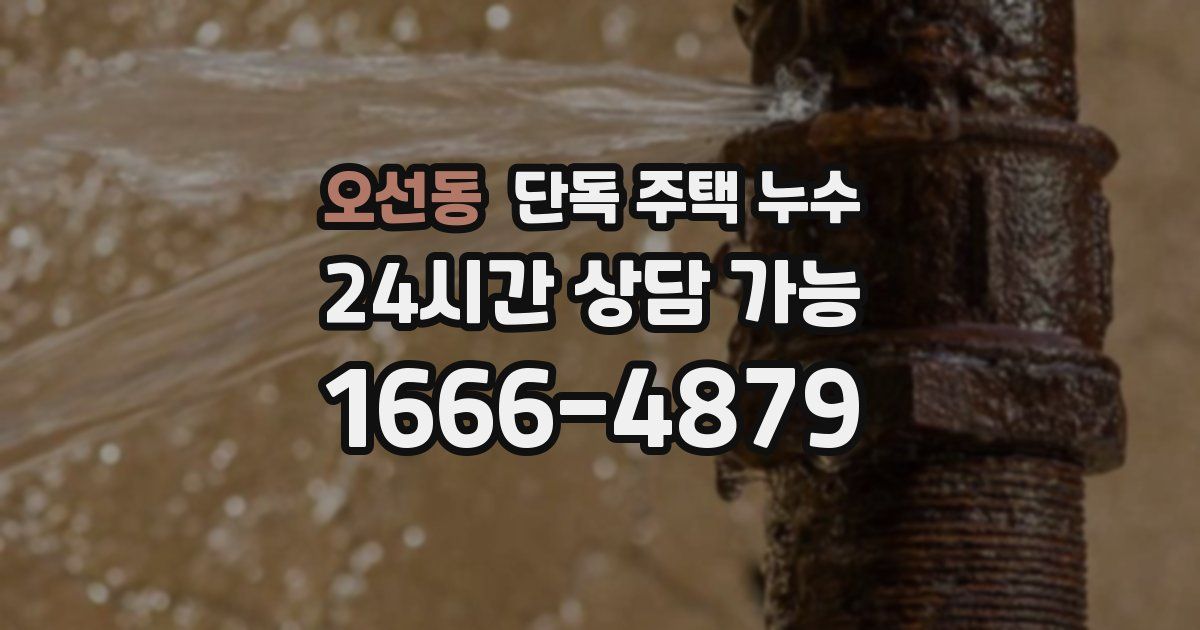 오선동 단독 주택 누수
