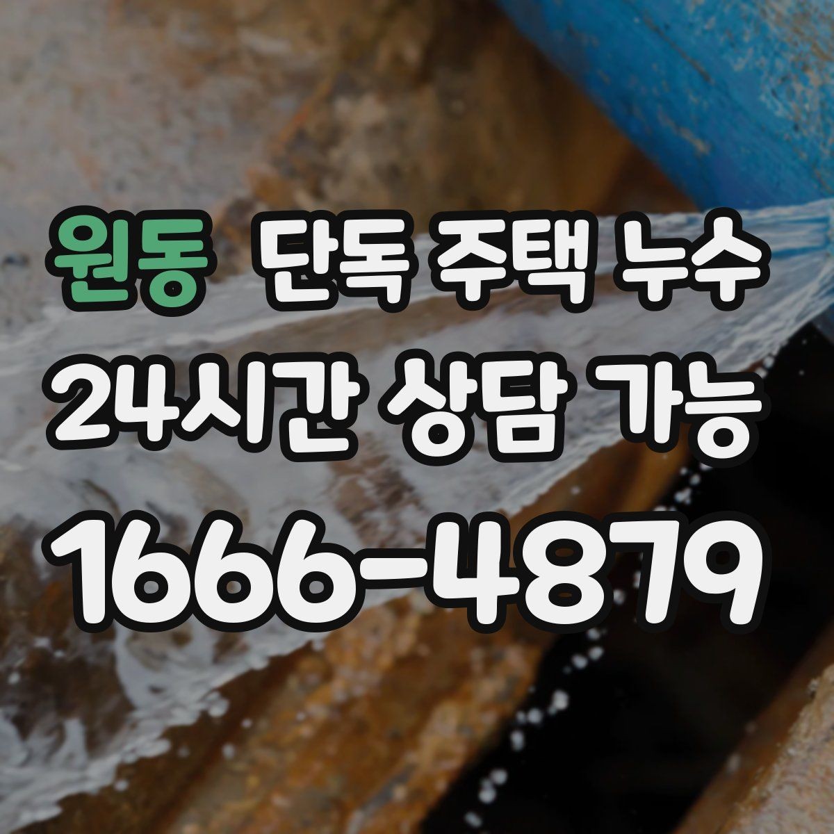 원동 단독 주택 누수 냄새가 올라올 때 배관 누수 가능성